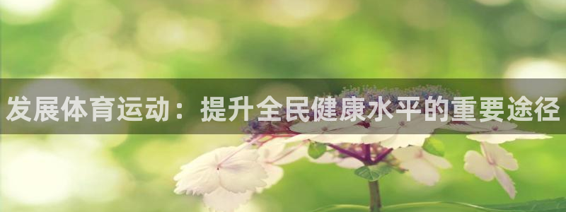 利记官方正版app娱乐是那个系列的台子：发展体育运动