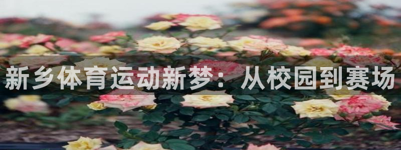 利记官网下载招商电话地址：新乡体育运动新梦：从校园到