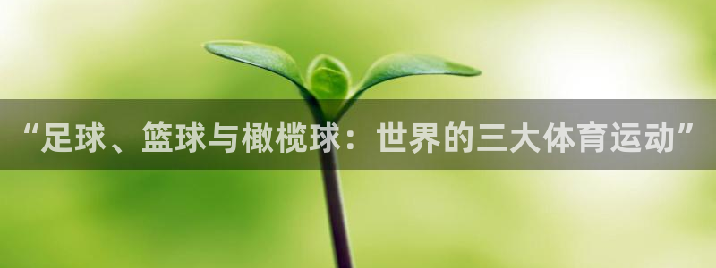 利记官网下载招商电话地址：“足球、篮球与橄榄球：世界