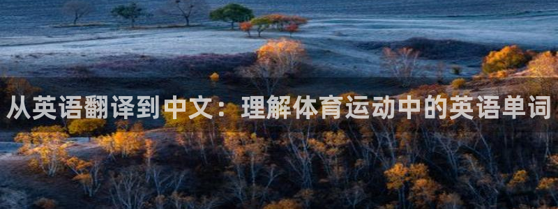 利记官网下载招商电话是多少号码：从英语翻译到中文：理