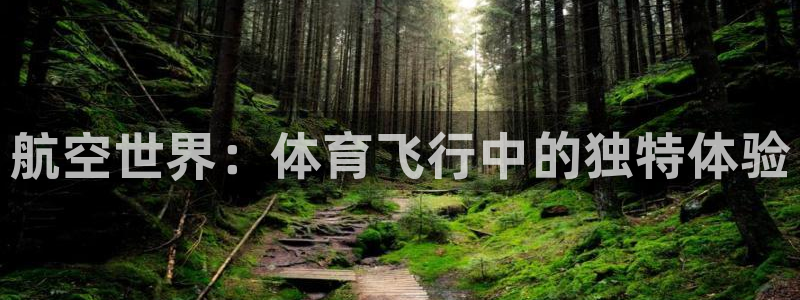 利记官方正版app娱乐40996