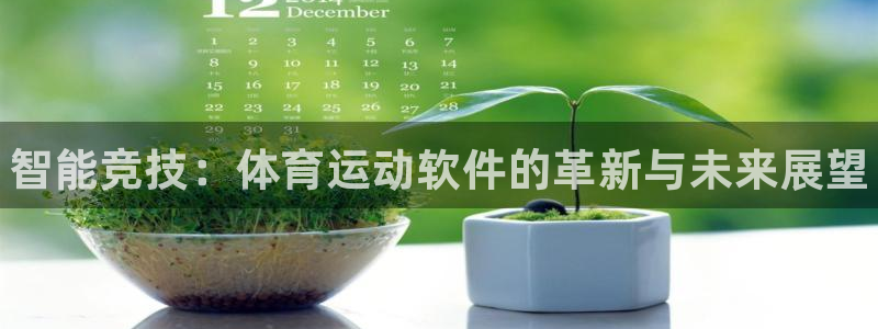 利记官网下载开户：智能竞技：体育运动软件的革新与未来展望