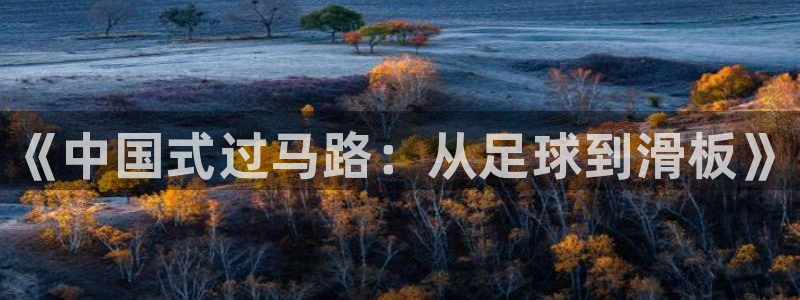 利记官网下载娱乐：《中国式过马路：从足球到滑板》