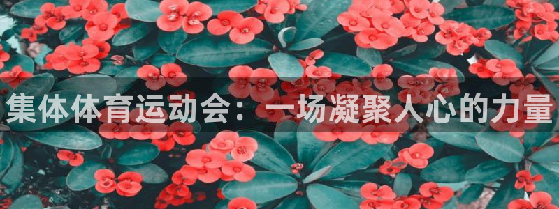 利记官网下载：集体体育运动会：一场凝聚人心的力量