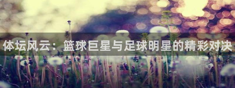 利记官方正版app神州