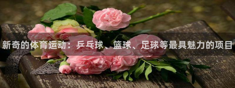 利记官方正版app娱乐代理怎么样：新奇的体育运动：乒
