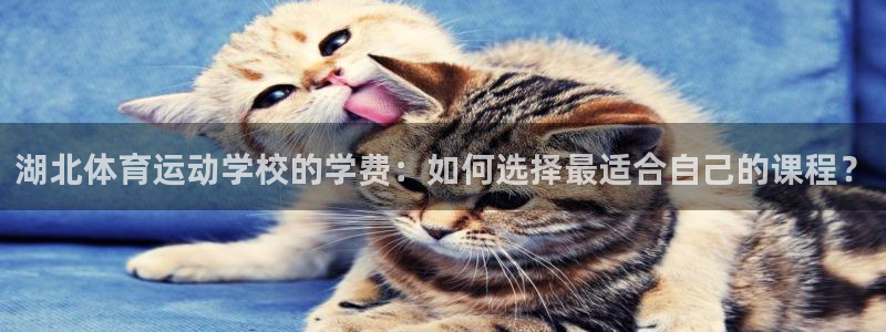 利记官网下载平台APP