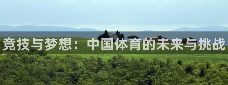 海南利记官网下载：竞技与梦想：中国体育的未来与挑战