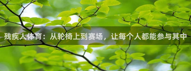 利记官方平台体育：残疾人体育：从轮椅上到赛场，让每个人都能参