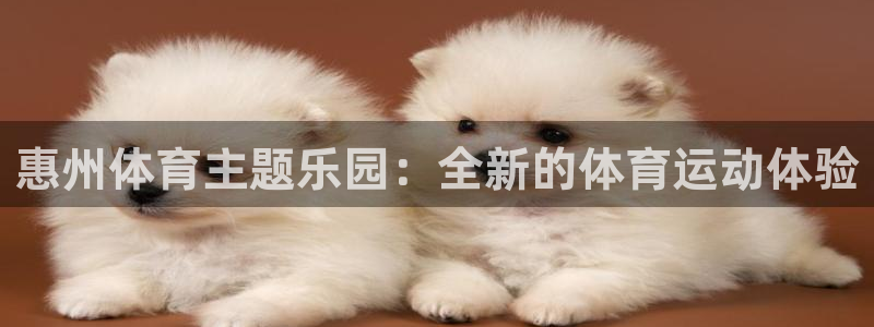利记官网下载开户：惠州体育主题乐园：全新的体育运动体
