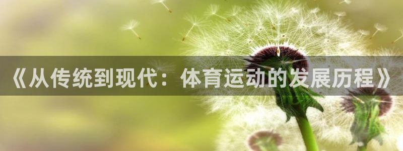 德国利记官方正版app集团：《从传统到现代：体育运动的发展历