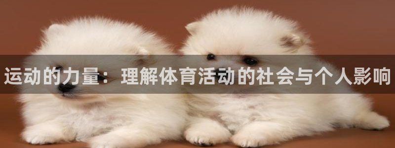 利记官网下载开户