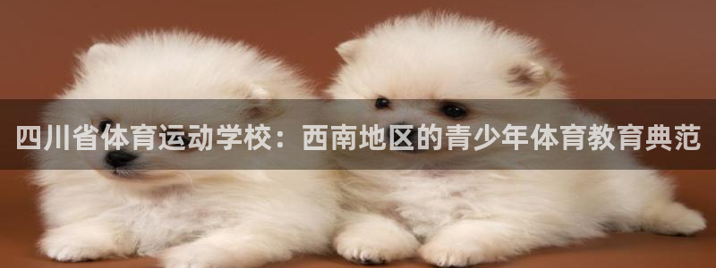 利记官网下载娱乐：四川省体育运动学校：西南地区的青少