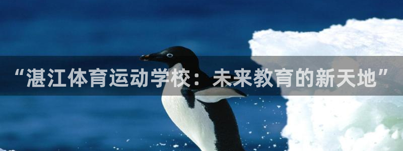 利记官网下载平台APP