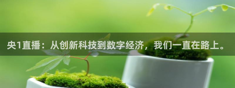 球神直播网：央1直播：从创新科技到数字经济，我们一直在路上。