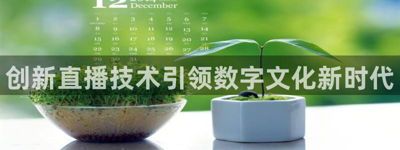 球神足球直播在线观看：创新直播技术引领数字文化新时代