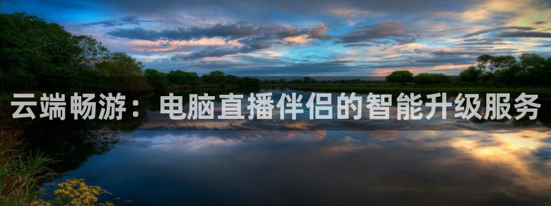 球神直播官网：云端畅游：电脑直播伴侣的智能升级服务
