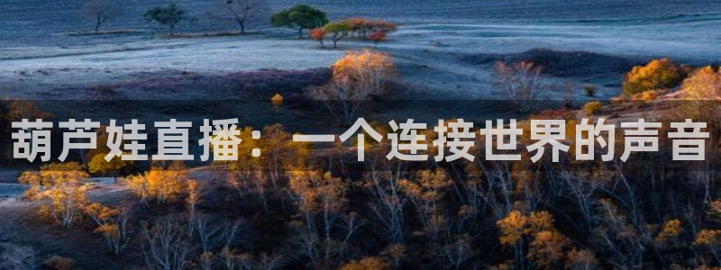 球神体育nba直播：葫芦娃直播：一个连接世界的声音